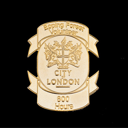 City of London Epping Forest Volunteers Badge - 50x40mm Gold Frosted Polished Lapel Pin Award 600hrs - Medals UK