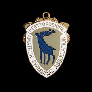 Hertfordshire ASA Champs swimming medal - 42mm gold/silver/bronze enamelled sports pendant - Medals Uk