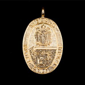 Midlands Water Polo sports medal - 32mm oval gold frosted polished sports pendant featuring crest - by Medals UK